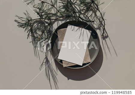 Christmas greeting card mockup. Winter stationery. Blank paper invitation on ceramic plate with pine tree branches in sunlight. Long shadows, beige table background. Festive holiday flatlay, top view 119948585