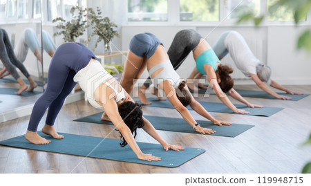 Group of women meditates in yoga pose parshvottanasana in gym. Demonstration of various yoga poses 119948715
