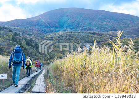 Autumn leaves on Mount Kurikoma - Ubunuma Course Nagorigahara 119949038