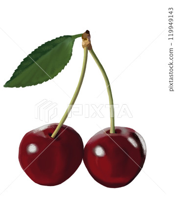 American Cherries (2 pcs) with leaves - Stock Illustration