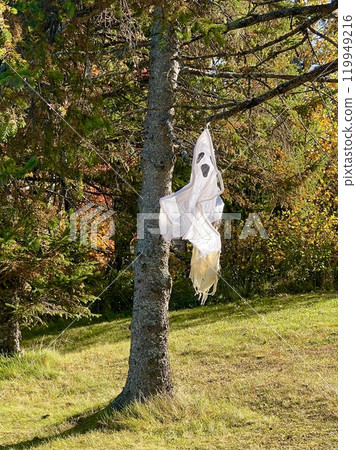 A tree in the garden with a ghost toy hanging from it, swaying in the wind A tree in the garden with a ghost toy hanging from it, swaying in the wind 119949216