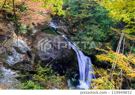 Yellow leaves at Sekiyama Falls Yellow leaves at Sekiyama Falls 119949652