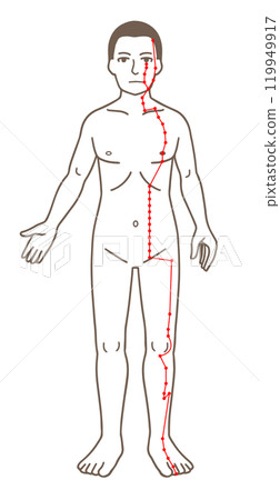 Acupuncture points, Yangming stomach meridian on the foot, illustration of pressure points 119949917
