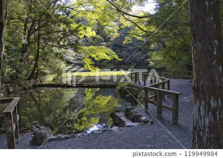 伊勢神宮內宮禦池 三重縣伊勢市 伊勢神宮內宮禦池 三重縣伊勢市 119949984