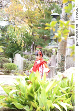 Cute three-year-old girl at Shichigosan shrine visit, location photoshoot at shrine/temple, family photo with kimono and kids in haori 119950269