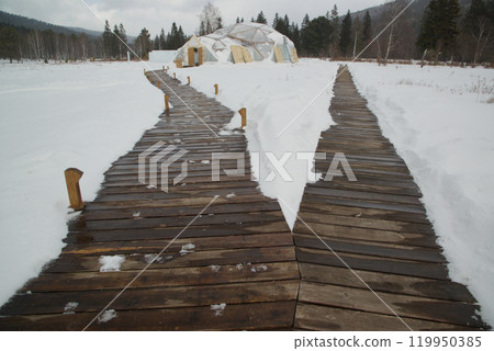 Empty wooden walkway in the park a snowy day. Winter scene in Russia. Snow covered trees in the woods. Empty wooden walkway in the park a snowy day. Winter scene in Russia. Snow covered trees in the woods. 119950385