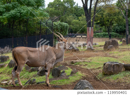 埃蘭凝視 119950401