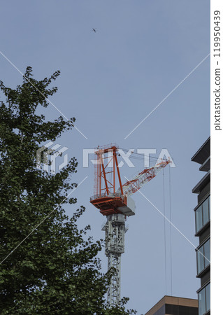 建築施工設備 119950439