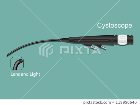 Cystoscopy is a procedure that allows doctor to examine. 119950640