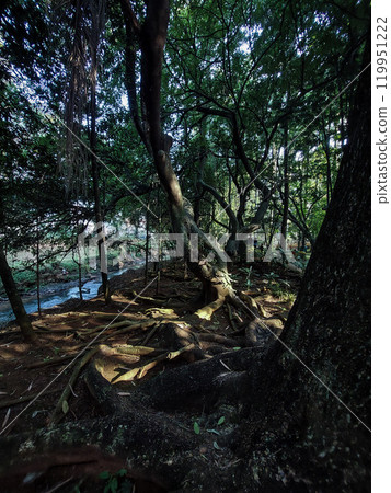A poignant portrayal of a river's transformation during a severe drought 119951222