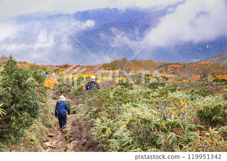 Autumn leaves on Mt. Kurikoma and the Ubunuma course Autumn leaves on Mt. Kurikoma and the Ubunuma course 119951342