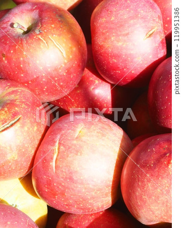 Miyabi Fuji,容器中的鮮紅色裂果富士蘋果 Miyabi Fuji,容器中的鮮紅色裂果富士蘋果 119951386