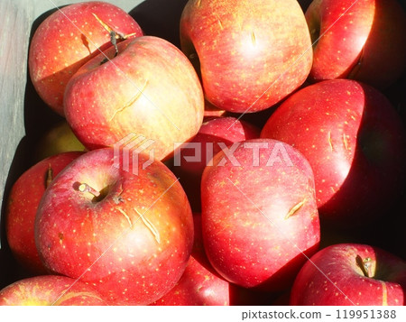 容器中的亮紅色裂富士蘋果,Miyami Fuji 4 容器中的亮紅色裂富士蘋果,Miyami Fuji 4 119951388