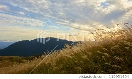 日本秋天的風景,蒲葦搖曳 日本秋天的風景,蒲葦搖曳 119951404