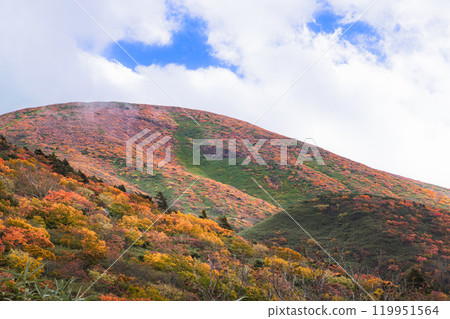全山秋葉的Kurikomi山 119951564