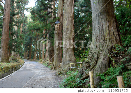 World Heritage Site Chusonji Temple Tsukimizaka Quiet Autumn Morning Iwate Prefecture 119951725
