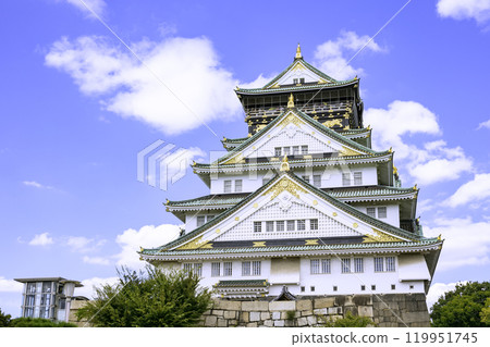 Osaka Castle Tower (Osaka City, Osaka Prefecture) Osaka Castle Tower (Osaka City, Osaka Prefecture) 119951745