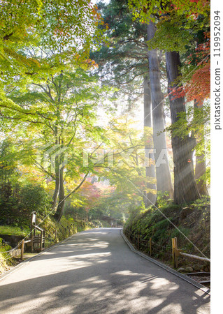 World Heritage Site Chusonji Temple: Autumn Tsukimizaka Hill: A refreshing morning with rays of light shining down on it, Iwate Prefecture 119952094