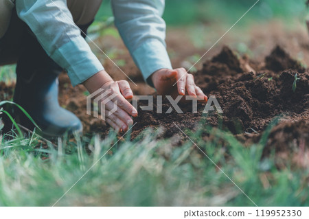 Agricultural experience where you can touch the soil Agricultural experience where you can touch the soil 119952330