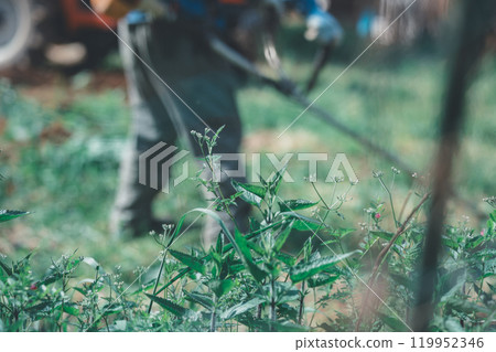 Man mowing the grass with a lawnmower Man mowing the grass with a lawnmower 119952346