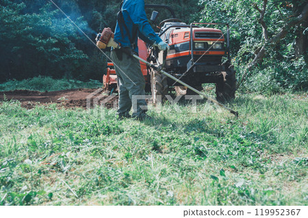 Mowing around the field 119952367
