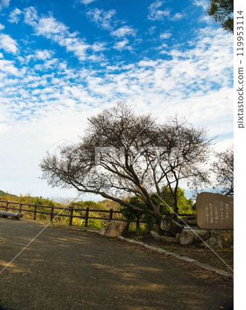 Landscape of the Seto 119953114