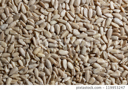 Peeled Sunflower Seeds Background 119953247