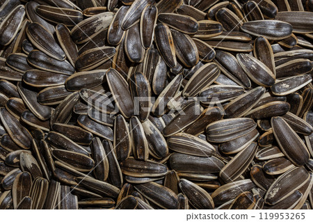 Non Salty Roasted Sunflower Seeds in Shell 119953265