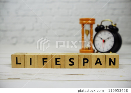 Lifespan with wooden blocks alphabet letters and alarm clock on wooden background Lifespan with wooden blocks alphabet letters and alarm clock on wooden background 119953438