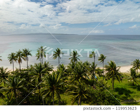 Coconut trees in tropical beach and turquoise sea water in Santa Fe, Tablas, Romblon. Philippines. Coconut trees in tropical beach and turquoise sea water in Santa Fe, Tablas, Romblon. Philippines. 119953623