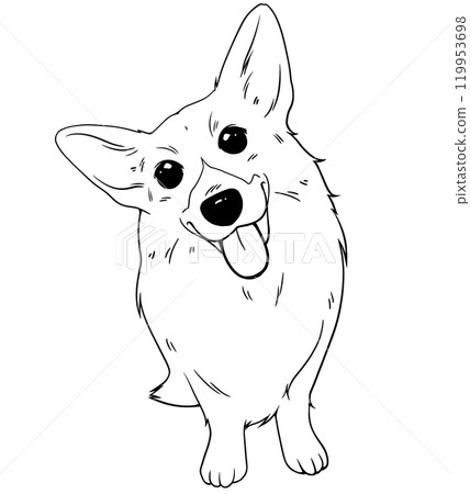 柯基犬黑白插圖 柯基犬黑白插圖 119953698