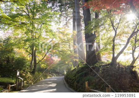 World Heritage Site Chusonji Temple: Autumn Tsukimizaka Hill: A refreshing morning with rays of light shining down on it, Iwate Prefecture 119953891