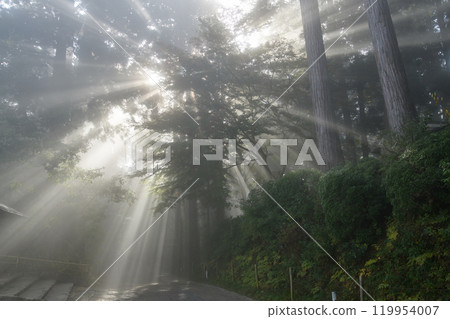 世界遺產中尊寺月見坂 - 岩手縣充滿光芒的早晨 世界遺產中尊寺月見坂 - 岩手縣充滿光芒的早晨 119954007