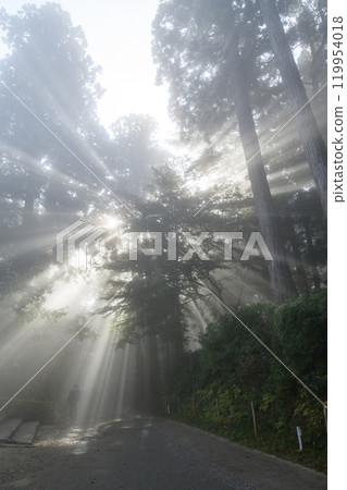 世界遺產中尊寺月見坂 - 岩手縣充滿光芒的早晨 世界遺產中尊寺月見坂 - 岩手縣充滿光芒的早晨 119954018
