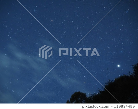 Gemini 1 landing on a tree Gemini 1 landing on a tree 119954499