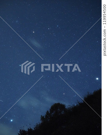 雙子座2號登陸樹上 119954500