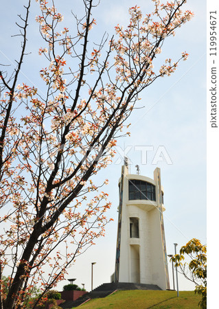 Cherry blossoms at Handa Green Space Cherry blossoms at Handa Green Space 119954671