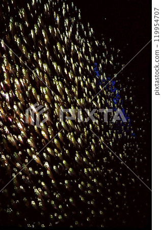 A flock of goldenrods on Ishigaki Seed 119954707