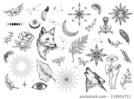 Vector collection of mystical magic boho elements isolated on white. Witchcraft astrological set. Hand drawn sketch esoteric objects. Vector collection of mystical magic boho elements isolated on white. Witchcraft astrological set. Hand drawn sketch esoteric objects. 119954751