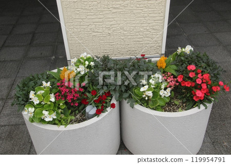 蘇瓦度假村夏威夷人過夜之旅 119954791