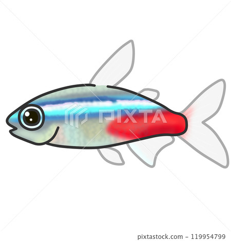 一種名為霓虹燈四的熱帶魚的插圖 一種名為霓虹燈四的熱帶魚的插圖 119954799