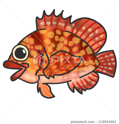 Illustration of a red saltwater fish called scorpion fish 119954802
