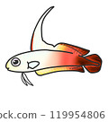 一種名為 Hatatategoby 的紅白熱帶魚的插圖 119954806