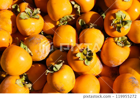 Photo of Ichida persimmons after harvest Photo of Ichida persimmons after harvest 119955272