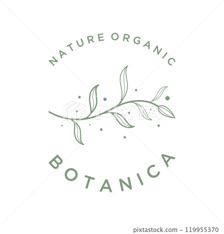 Hand drawn organic botanical organic feminine delicate Logo design for florist, wedding, badge, photographer and beauty. 119955370