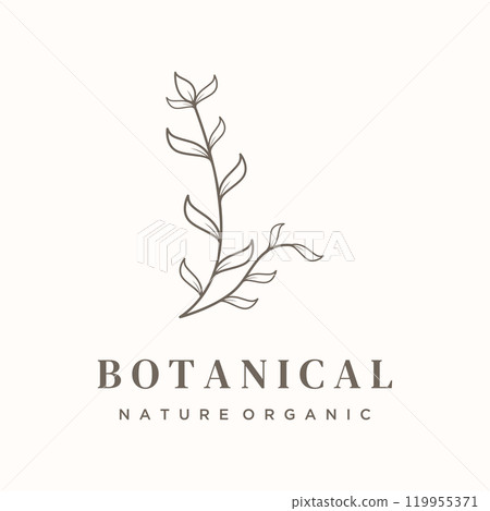 Hand drawn organic botanical organic feminine delicate Logo design for florist, wedding, badge, photographer and beauty. Hand drawn organic botanical organic feminine delicate Logo design for florist, wedding, badge, photographer and beauty. 119955371