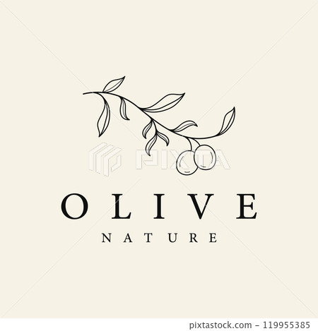 Botanical logo template Hand drawn natural olive leaf and fruit .Herbal, olive oil,cosmetic or beauty. 119955385