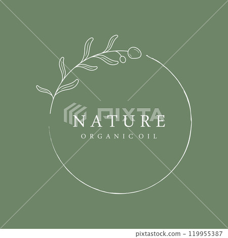 Botanical logo template Hand drawn natural olive leaf and fruit .Herbal, olive oil,cosmetic or beauty. 119955387