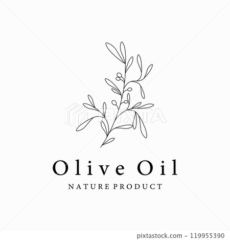 Botanical logo template Hand drawn natural olive leaf and fruit .Herbal, olive oil,cosmetic or beauty. 119955390