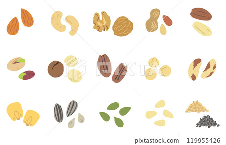 堅果和種子/無名（帶向量） 119955426